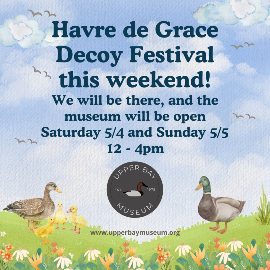 The picture says, "Havre de Grace Decoy Festival this weekend! We will be there, and the museum will be open Saturday 5/4 and Sunday 5/5 12pm-4pm" The background is a watercolor with a blue sky and puffy clouds, with a duck family frolicking in the flowers.